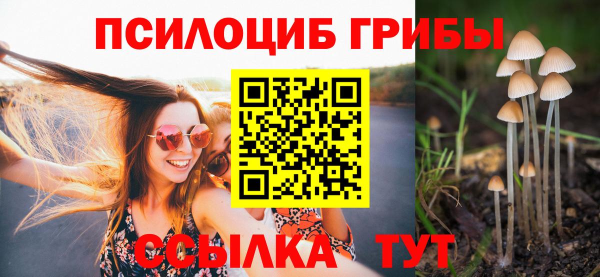 Псилоцибиновые грибы ЛСД  Псилоцибиновые грибы GOLDEN TEACHER  Назрань  Вход с VPN 